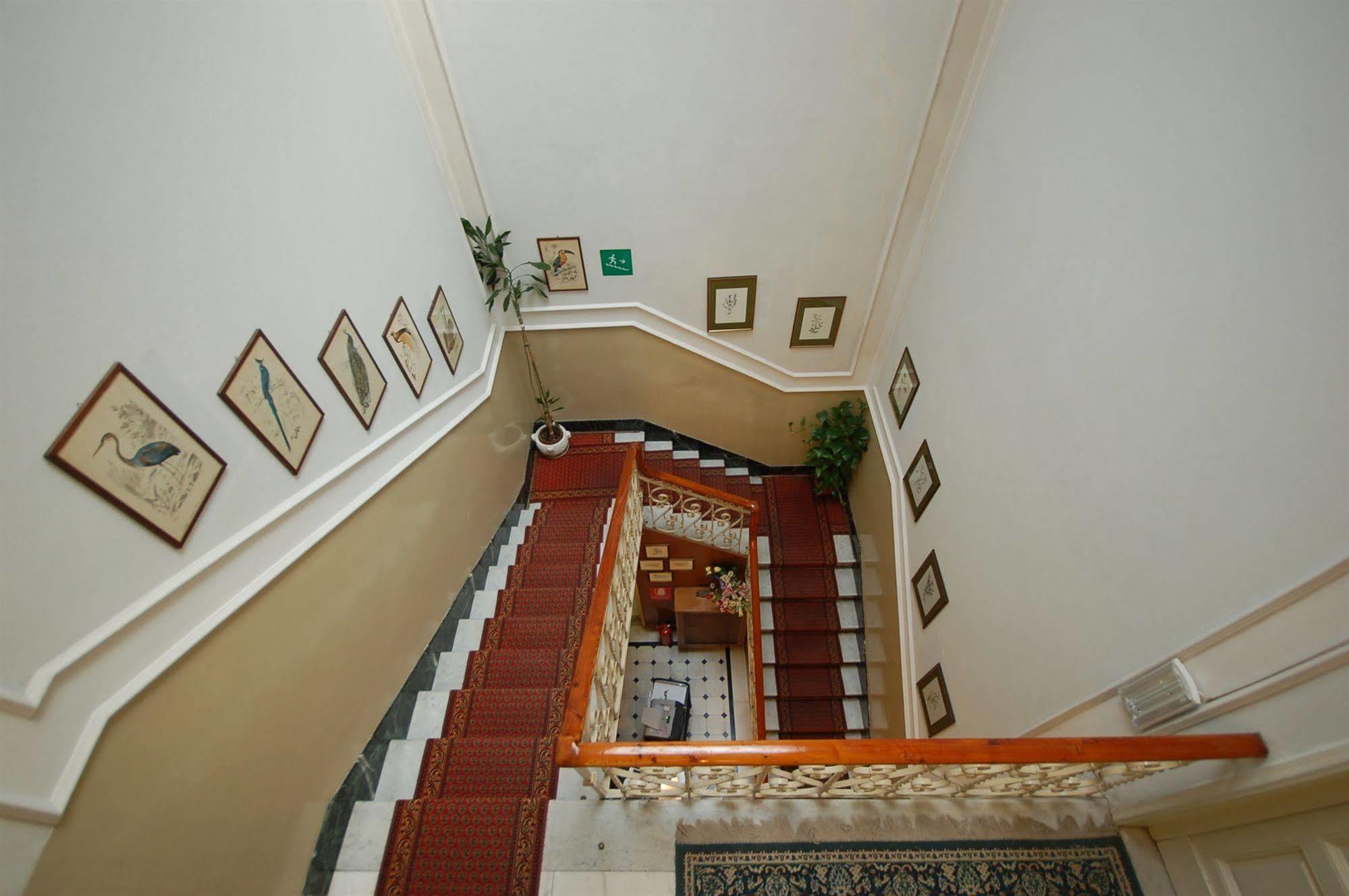 Hotel Ely Viareggio Zewnętrze zdjęcie